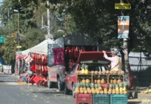 Necesario mayor orden urbano / Maullidos Urbanos