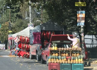 Necesario mayor orden urbano / Maullidos Urbanos