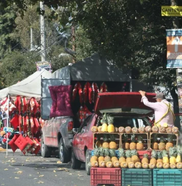 Necesario mayor orden urbano / Maullidos Urbanos