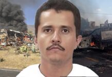 Después de “El Mencho” ¿qué sucederá? / Maullidos Urbanos