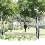 Panteones ecológicos, posible opción / Maullidos Urbanos