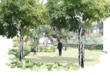 Panteones ecológicos, posible opción / Maullidos Urbanos