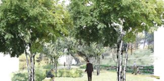 Panteones ecológicos, posible opción / Maullidos Urbanos