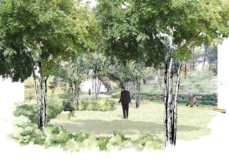 Panteones ecológicos, posible opción / Maullidos Urbanos