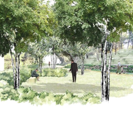 Panteones ecológicos, posible opción / Maullidos Urbanos