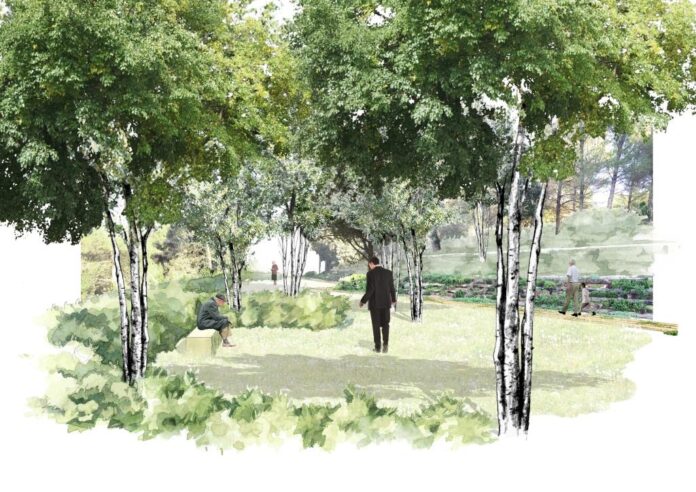 Maullidos 25 febrero Funerales ecológicos. Cultura Vs. Burocracia.