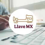 Maullidos Urbanos / Digitalización ciudadana