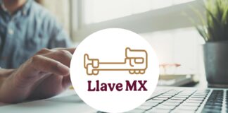 Maullidos Urbanos / Digitalización ciudadana