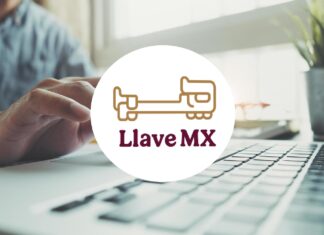 Maullidos Urbanos / Digitalización ciudadana