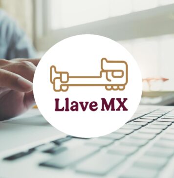 Maullidos Urbanos / Digitalización ciudadana