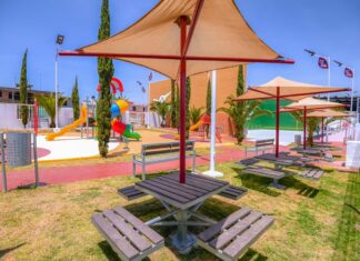 Invita Gobernadora Delfina Gómez a disfrutar en familia de un «picnic» en los espacios deportivos y parques del EdoMéx