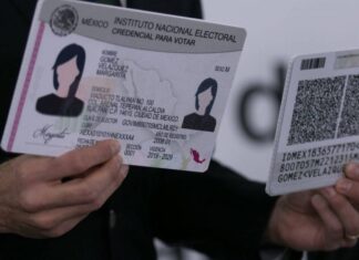 Afiliaciones irregulares en Morena / Maullidos Urbanos