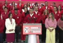 «Defensores de México» Vs. «Defensores de la 4a.transformación» / Maullidos Urbanos