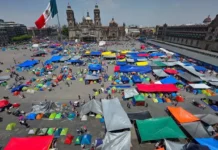 Pésima costumbre de la CNTE / Maullidos Urbanos