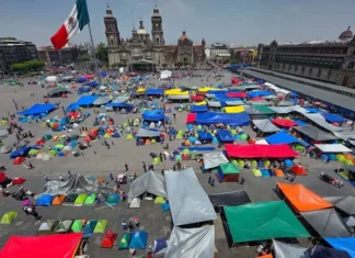 Pésima costumbre de la CNTE / Maullidos Urbanos