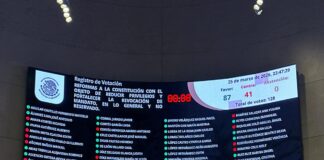 Fracasa el «Plan B»; Aprobado un «Plan C» / Maullidos Urbanos