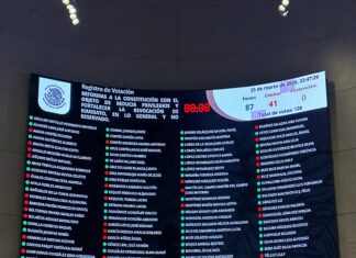 Fracasa el «Plan B»; Aprobado un «Plan C» / Maullidos Urbanos