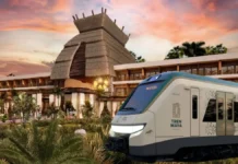 PRESUPUESTO ELECTORAL / MAULLIDOS URBANOS