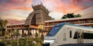 PRESUPUESTO ELECTORAL / MAULLIDOS URBANOS