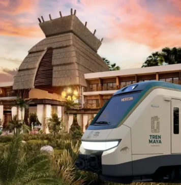 PRESUPUESTO ELECTORAL / MAULLIDOS URBANOS