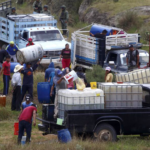 El Huachicol, más activo que nunca / Maullidos Urbanos