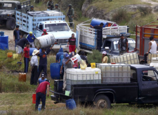 El Huachicol, más activo que nunca / Maullidos Urbanos