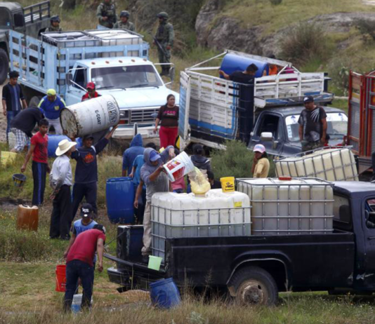 El Huachicol, más activo que nunca / Maullidos Urbanos