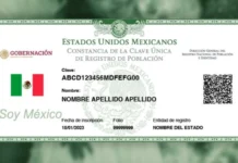 Dar de baja CURP de difuntos / Maullidos Urbanos