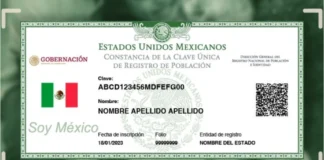 Dar de baja CURP de difuntos / Maullidos Urbanos