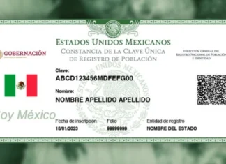 Dar de baja CURP de difuntos / Maullidos Urbanos