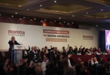 Anticipo de Morena a los tiempos electorales / Maullidos Urbanos