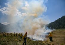 Llama Gobierno del EdoMéxa vacacionistas y peregrinos a evitar incendios forestales durante Semana Santa