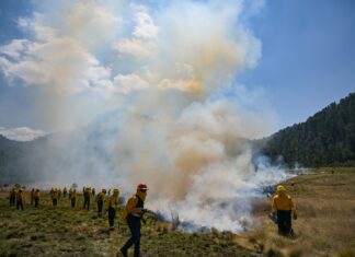Llama Gobierno del EdoMéx a vacacionistas y peregrinos a evitar incendios forestales durante Semana Santa