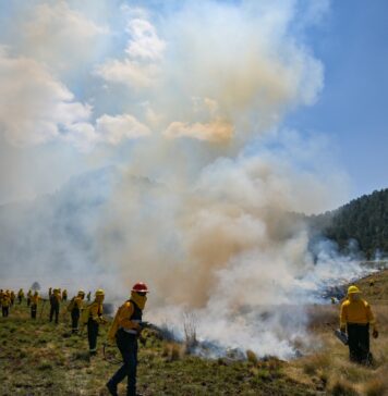 Llama Gobierno del EdoMéxa vacacionistas y peregrinos a evitar incendios forestales durante Semana Santa
