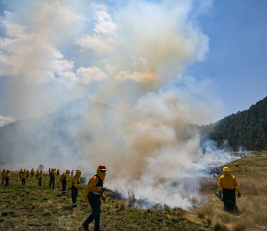 Llama Gobierno del EdoMéx a vacacionistas y peregrinos a evitar incendios forestales durante Semana Santa