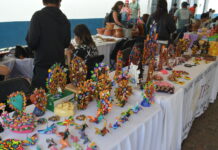 METEPEC SE LLENA DE DELICIAS DE VARIAS PARTES DEL PAÍS, CON «FOGONES DE MÉXICO»