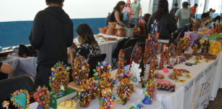 METEPEC SE LLENA DE DELICIAS DE VARIAS PARTES DEL PAÍS, CON «FOGONES DE MÉXICO»