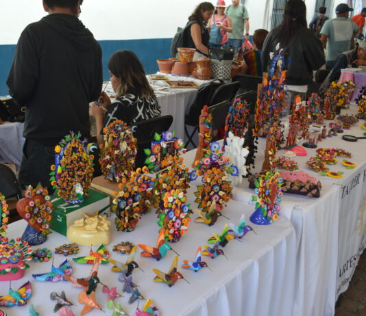 METEPEC SE LLENA DE DELICIAS DE VARIAS PARTES DEL PAÍS, CON «FOGONES DE MÉXICO»