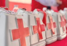 Urgida de ayuda la Cruz Roja / Maullidos Urbanos