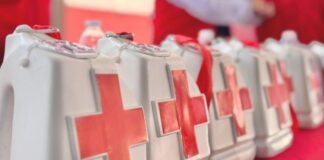 Urgida de ayuda la Cruz Roja / Maullidos Urbanos