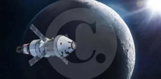 Maullidos Urbanos / La Luna en venta