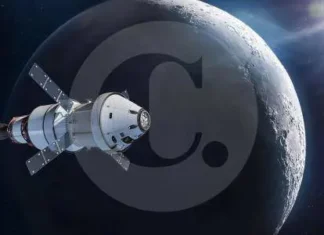 Maullidos Urbanos / La Luna en venta