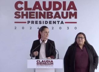 Los Ajustes en el gabinete / Maullidos Urbanos