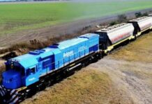 Maullidos Urbanos / Trenes en Argentina