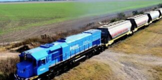 Maullidos Urbanos / Trenes en Argentina