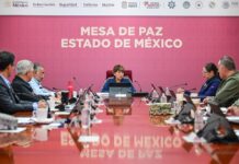 Desde Mesa de Paz, LA Gobernadora Delfina Gómez destaca la estrategia de adopción de seres sintientes