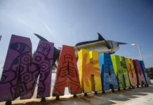 Alebrijes en Cuadratines / Proyectos ambientales