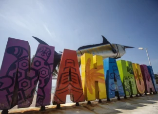 Alebrijes en Cuadratines / Proyectos ambientales