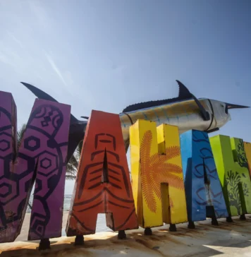 Alebrijes en Cuadratines / Proyectos ambientales