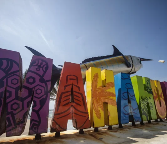 Alebrijes en Cuadratines / Proyectos ambientales